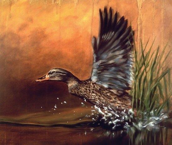 Black Duck Painting by Joe Borri