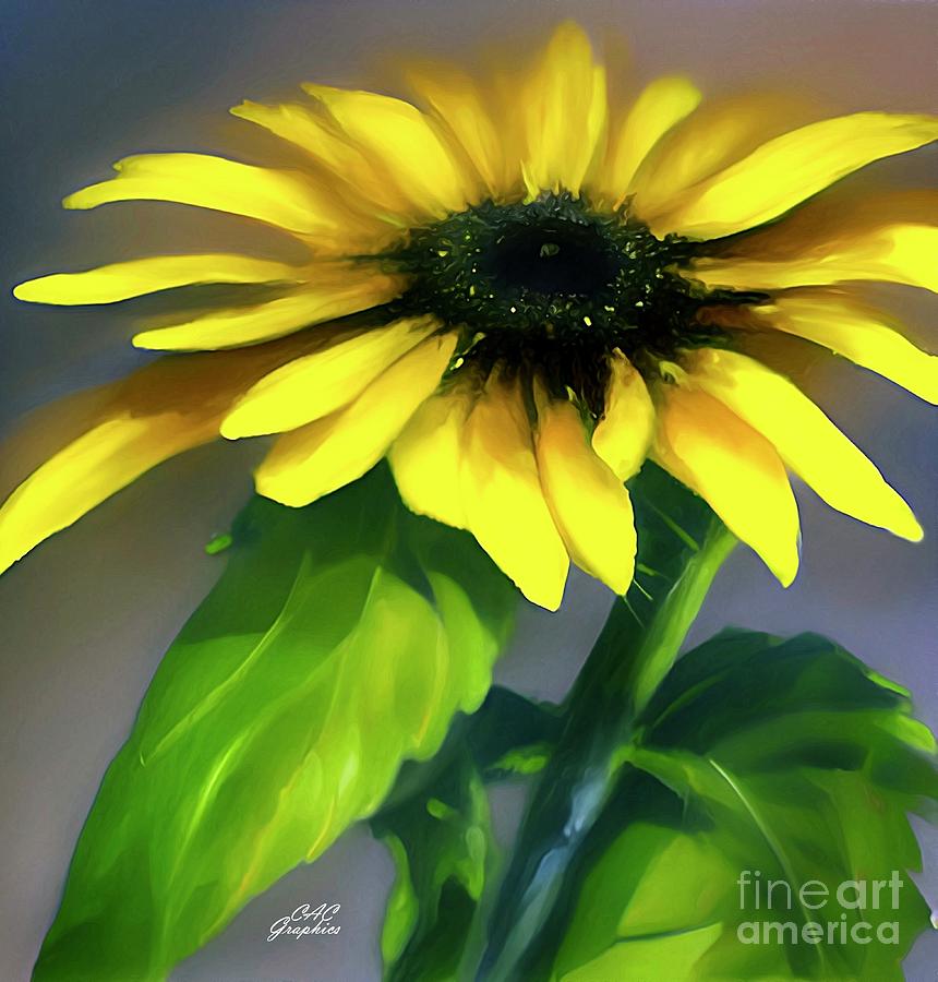 Black Eyed Susan Painting by CAC Graphics - Fine Art America