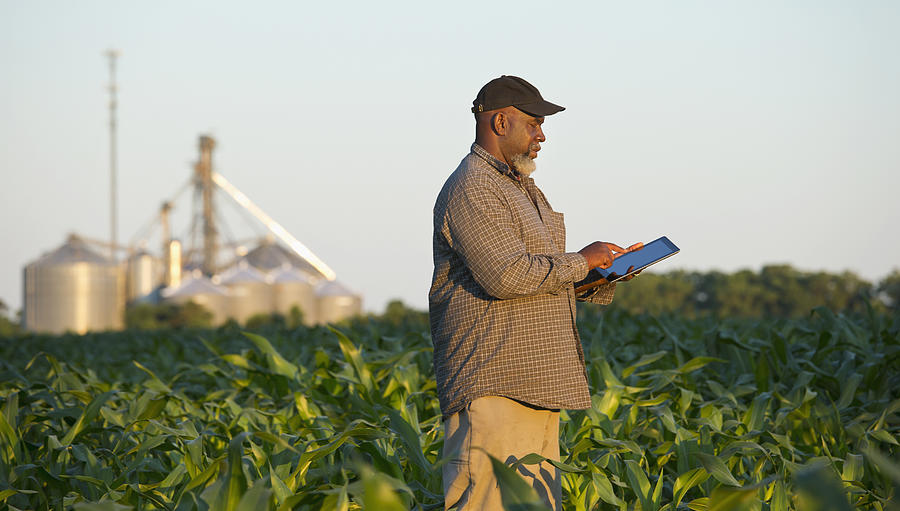 Black farmer with digital tablet in crop field Photograph by Ariel Skelley