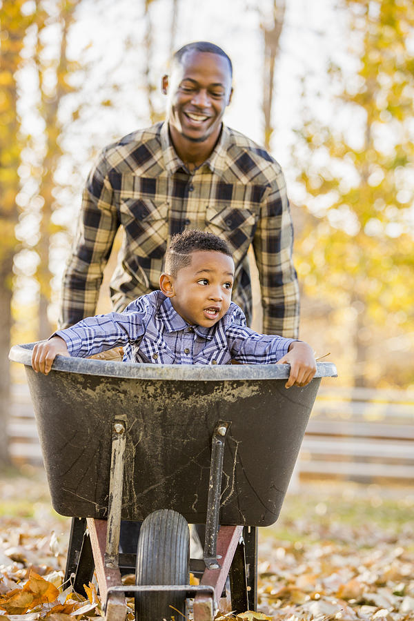 Black father pushing son in wheelbarrow in autumn leaves Photograph by Mike Kemp