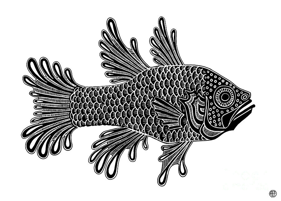 Black Fish Ink 3  Drawing by Amy E Fraser