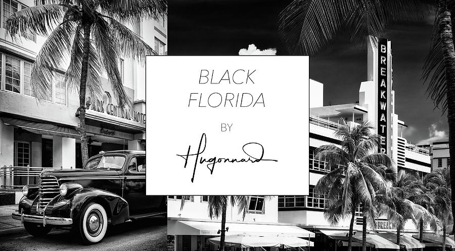 Black Florida Collection Photograph by Philippe HUGONNARD