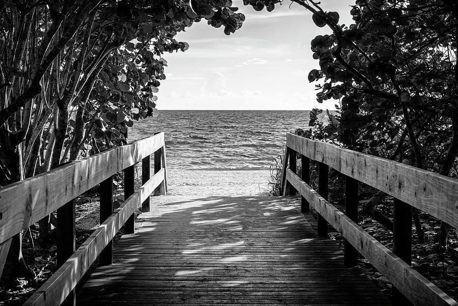 Black Florida Series - Between the leaves, the beach Photograph by Philippe HUGONNARD