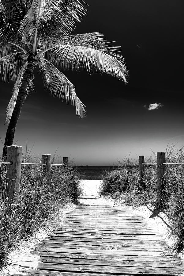 Black Florida Series - Boardwalk on beach Photograph by Philippe HUGONNARD