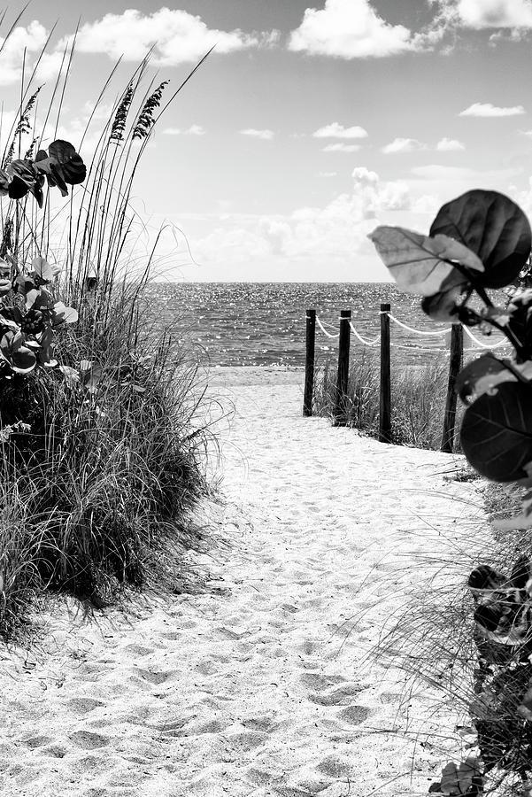 Black Florida Series - Boardwalk towards the beach and Atlantic Ocean Photograph by Philippe HUGONNARD