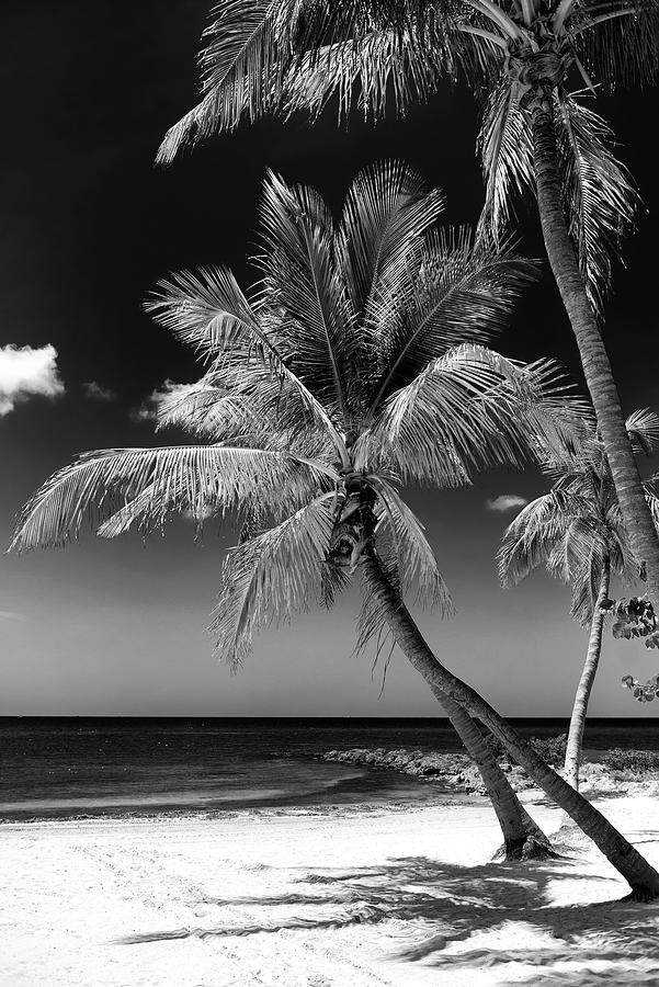 Black Florida Series - Key West Beach Photograph by Philippe HUGONNARD