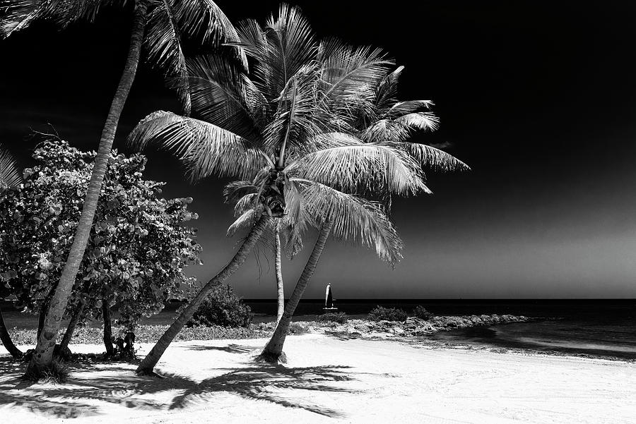 Black Florida Series - key West Summer Photograph by Philippe HUGONNARD