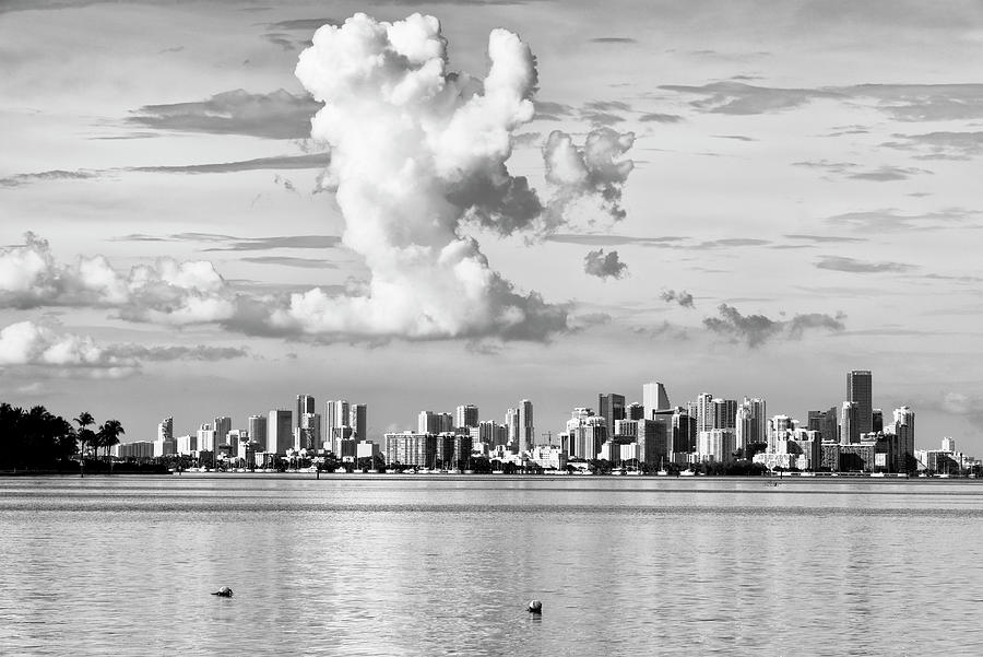 Black Florida Series - Miami City Photograph by Philippe HUGONNARD