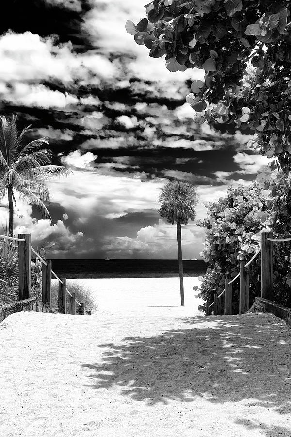 Black Florida Series - Miami Private Beach Photograph by Philippe HUGONNARD