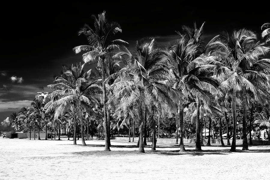 Black Florida Series - Palm Trees Beach Photograph by Philippe HUGONNARD