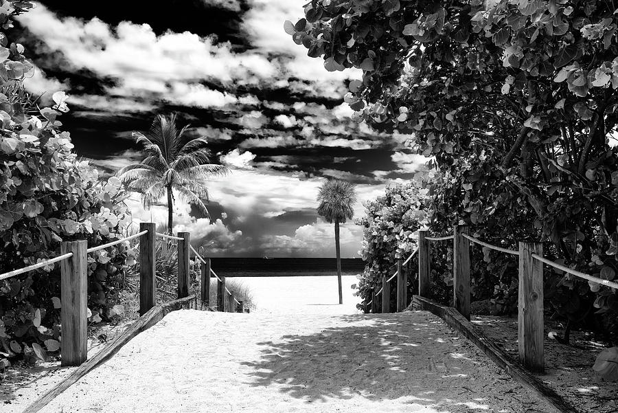 Black Florida Series - Private Beach Photograph by Philippe HUGONNARD