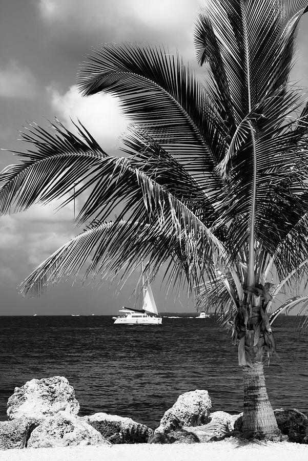 Black Florida Series - Tropical view Photograph by Philippe HUGONNARD