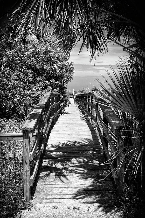 Black Florida Series - Wooden Walkway Photograph by Philippe HUGONNARD