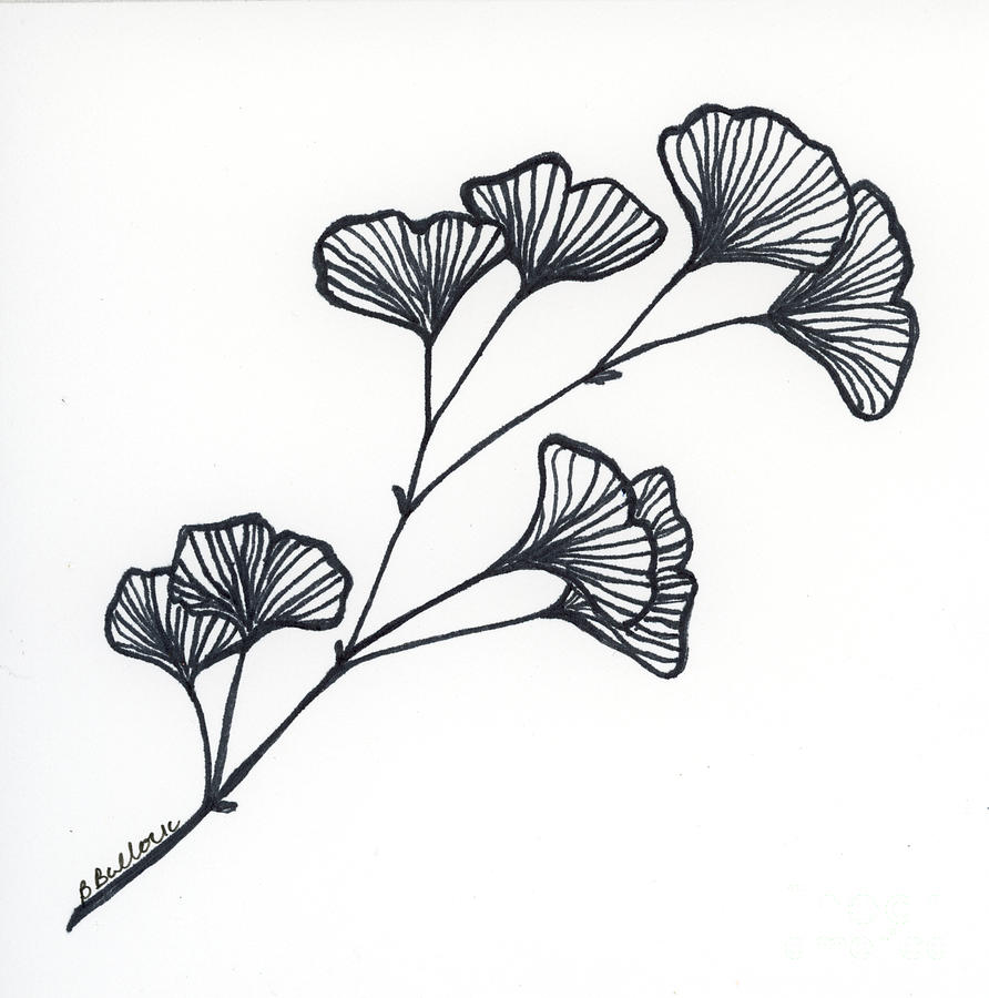 Black Flower Ink Painting by Beth Bullock | Fine Art America