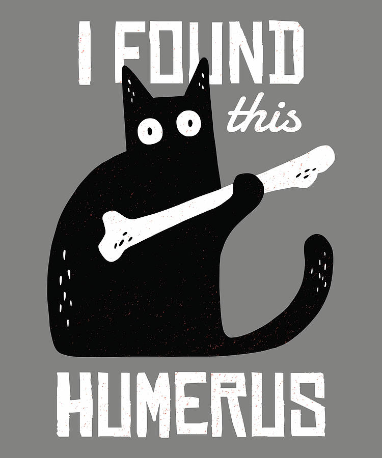 Black Fluffy Bombay Cat I Found This Humerus Painting by Bailey ...