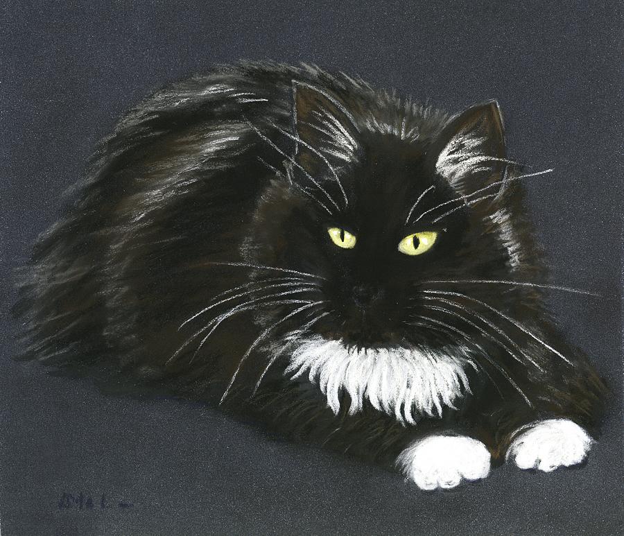 Cat Drawing - Black Fluffy Cat by Anastasiya Malakhova