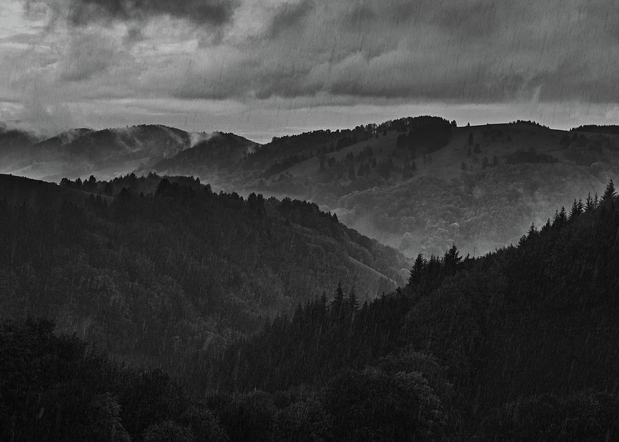 Black Forest fog receives rain Photograph by Ioannis Konstas