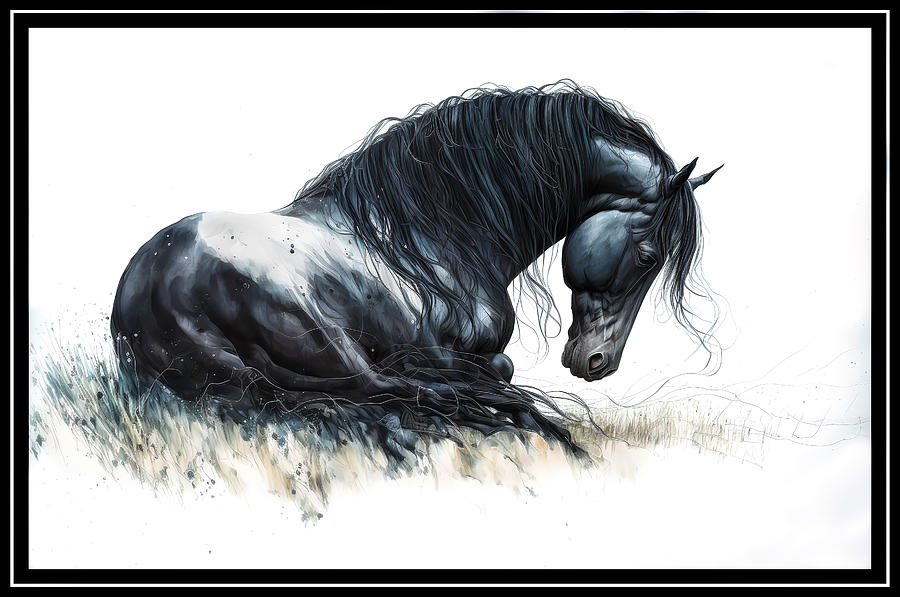 Black Friesian Resting Digital Art by Wes and Dotty Weber