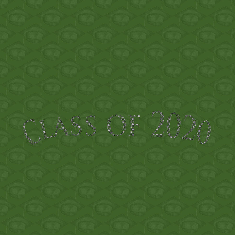 Black Graduation Cap Class of 2020 on Green Photograph by Iris Richardson