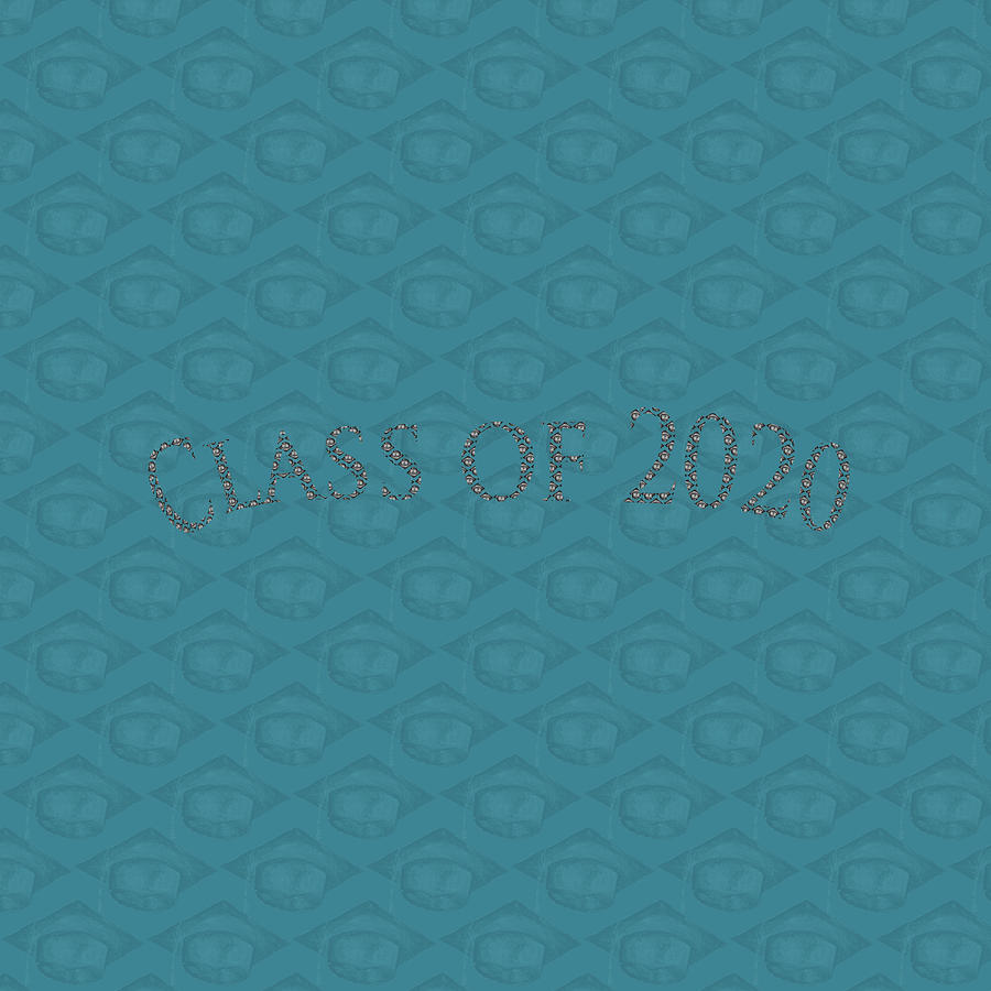 Black Graduation Cap Class of 2020 on Mosaik Blue Photograph by Iris Richardson