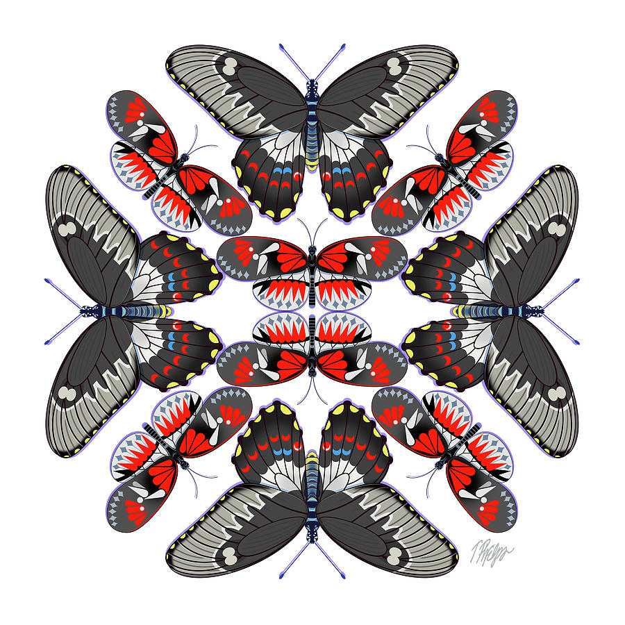 Black Gray Red Butterfly Mandala Digital Art by Tim Phelps