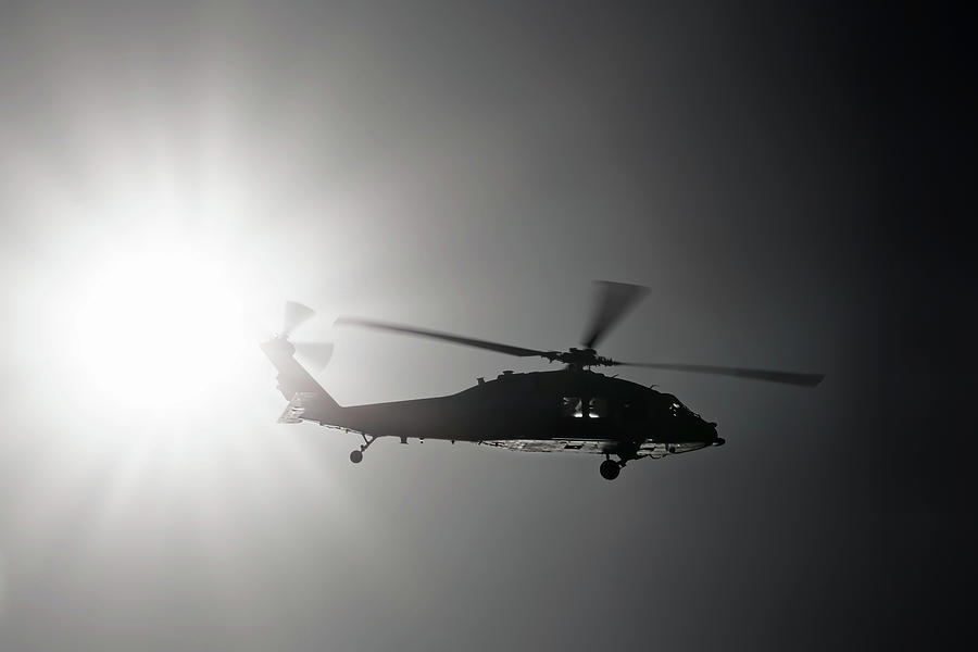 Black Hawk in the Sun Photograph by Bill Chizek