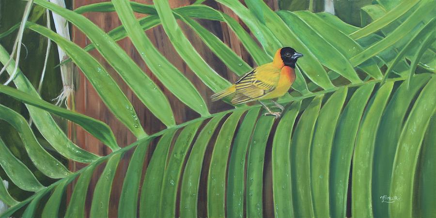 Black Headed Weaver Painting by Tammy Taylor