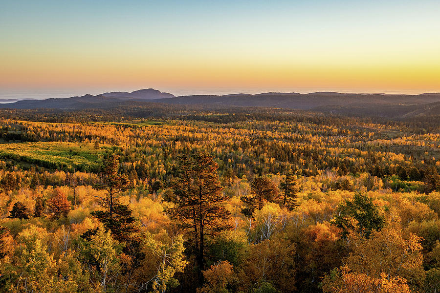 Black Hills Autumn Color Palette Photograph by Leith Sandness - Fine ...