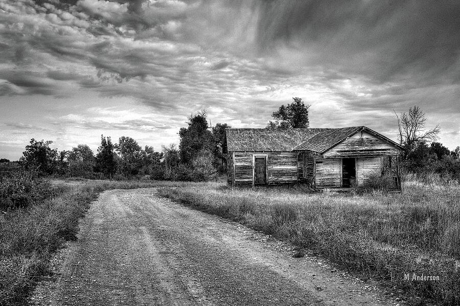 Black Hills Backroads in BW Photograph by Michael R Anderson - Fine Art ...