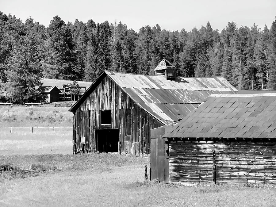 Black Hills Barns BW Photograph by Cathy Anderson