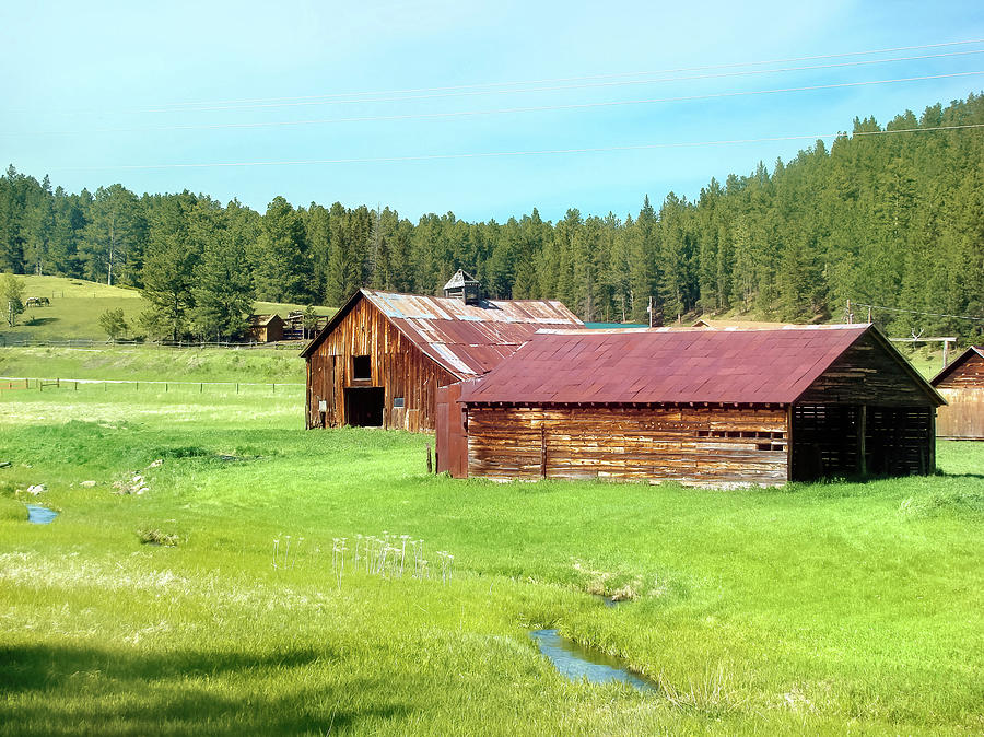 Black Hills Barns Color Photograph by Cathy Anderson