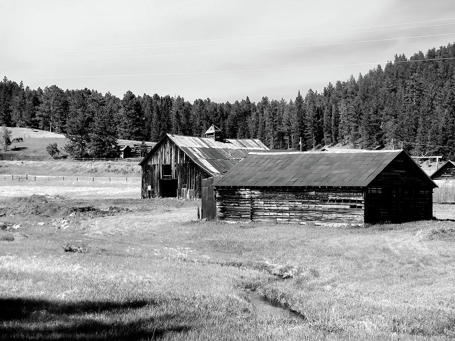 Black Hills Barns in Summer Photograph by Cathy Anderson