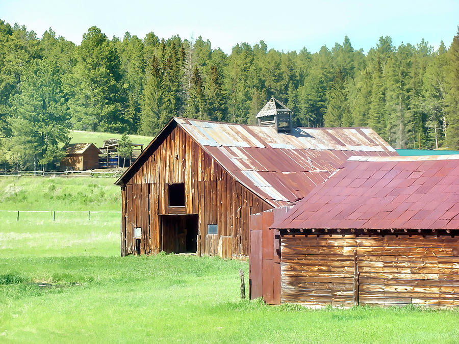 Black Hills Barns Weathered Wood Photograph by Cathy Anderson
