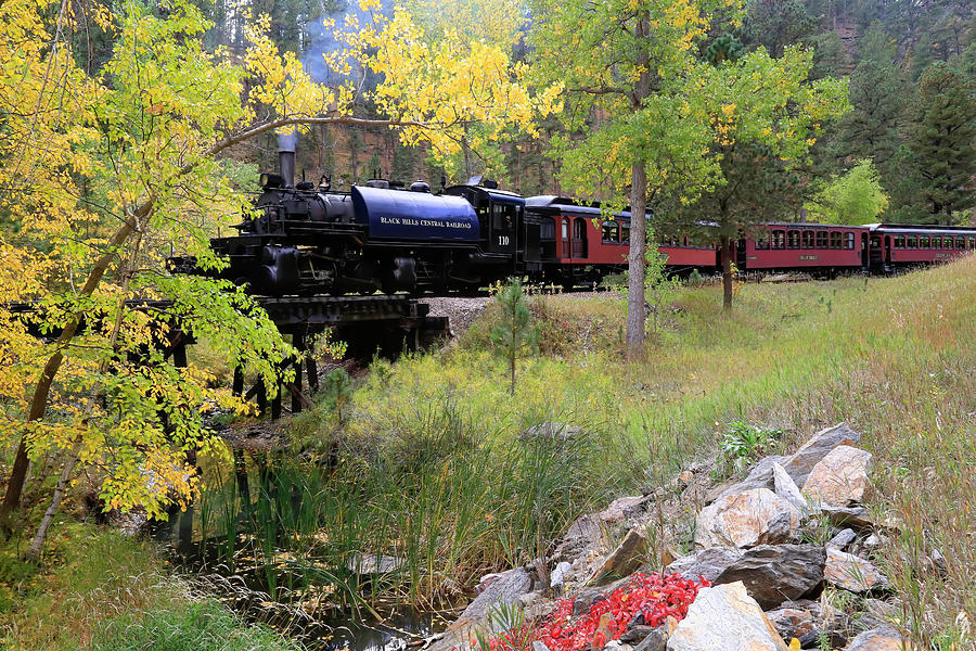 Black Hills Central Railroad Photograph by Donna Kennedy