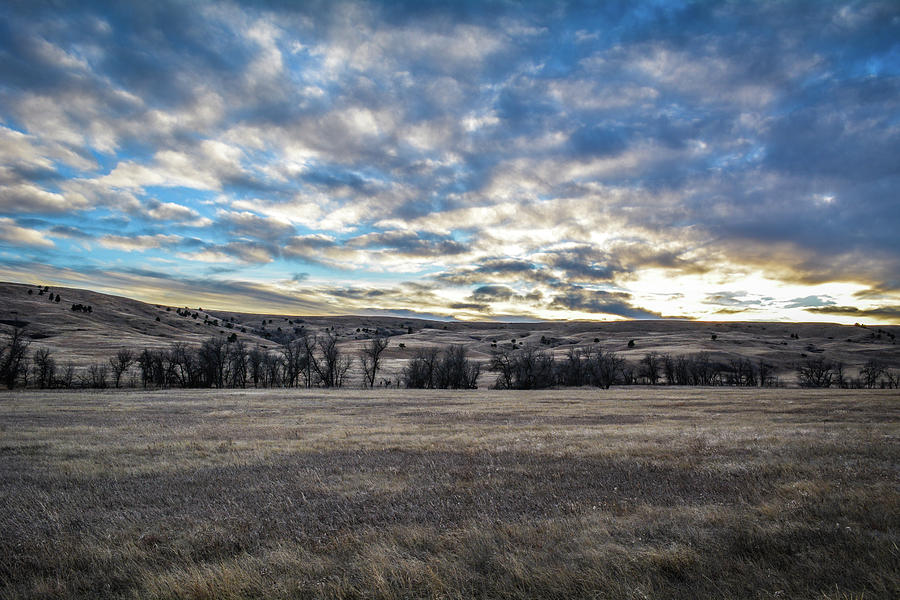 Black Hills Custer State Park Photograph by Kyle Hanson