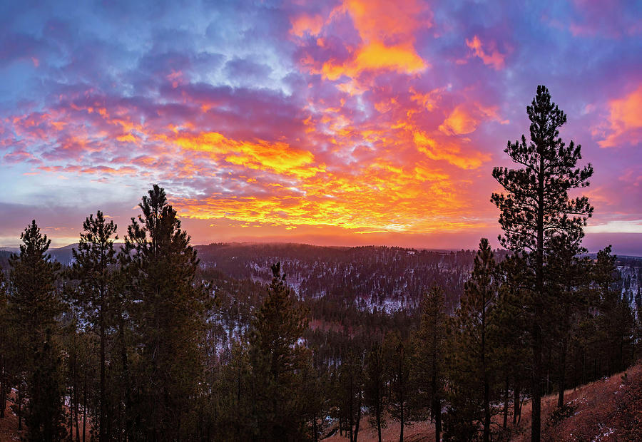 Black Hills Sunset Photograph by Leith Sandness - Fine Art America