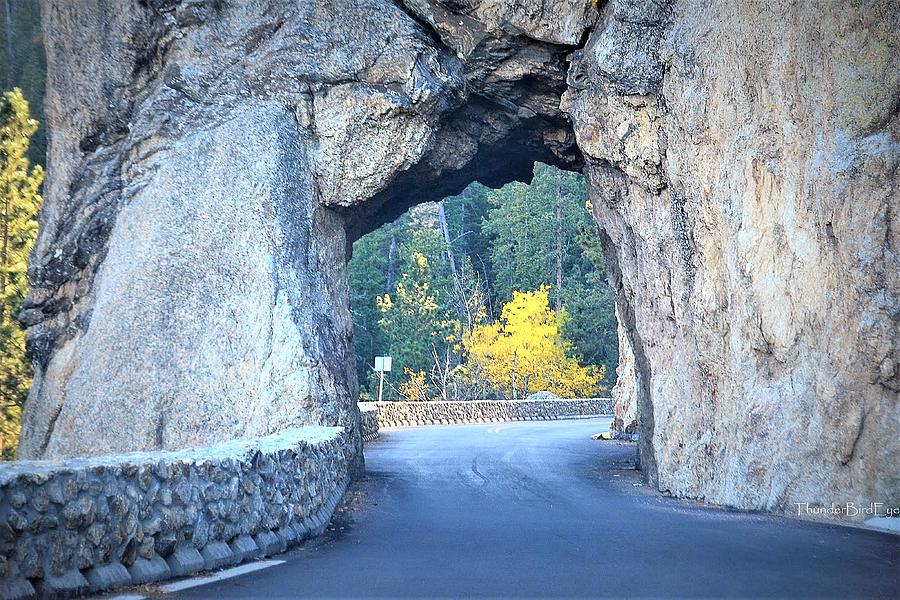 Black Hills Tunnel Photograph by Clarice Lakota