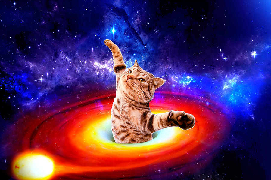 Black hole - space cat - funny cats - in space Digital Art by Johnnie ...