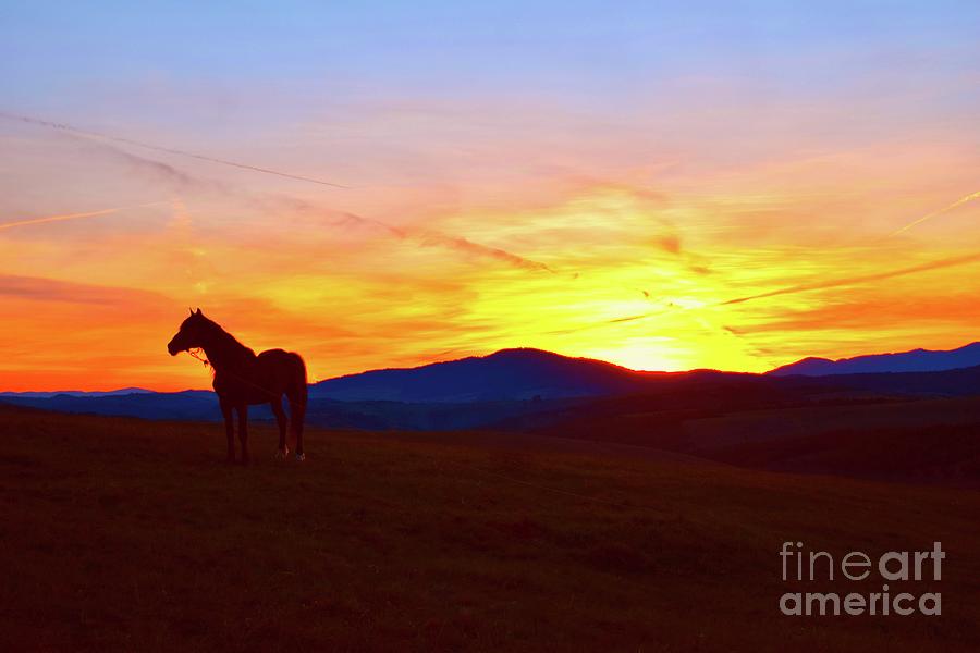 Black Horse and The Mountain In The Sunset Photograph by Leonida Arte