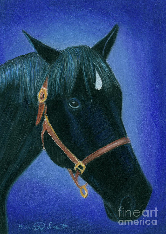 Black Horse Painting by Dorothy Lee