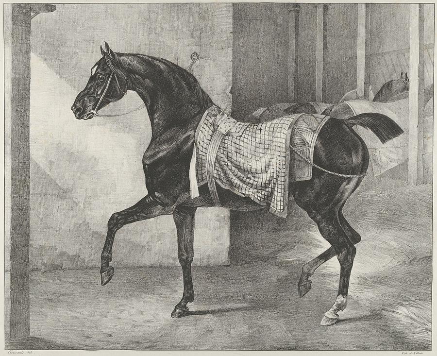 Black Horse Tethered in a Stable, 1822 Painting by MotionAge Designs