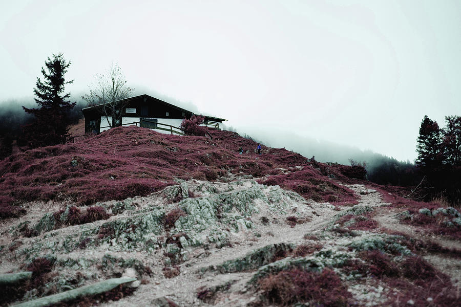 Black House On Green Grass Field Under White Sky - Surreal Art By Ahmet Asar Digital Art