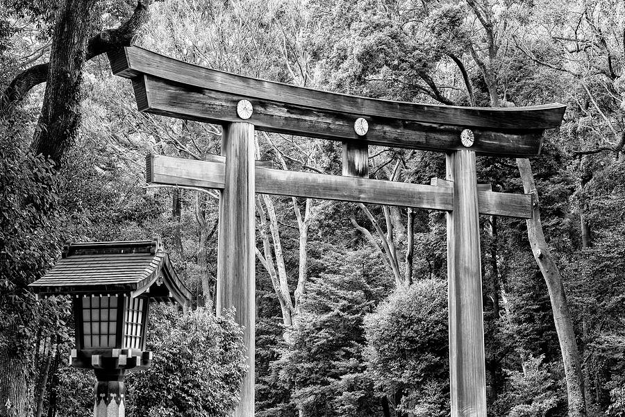 Black Japan Collection - Wooden Torii Photograph by Philippe HUGONNARD