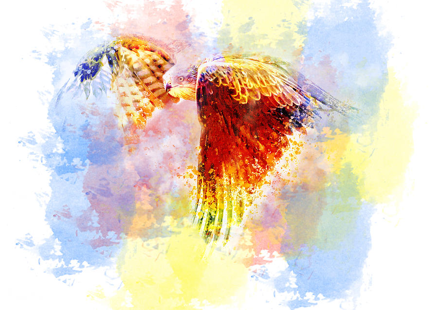 Colorful Kites Images - Free Download on Freepik