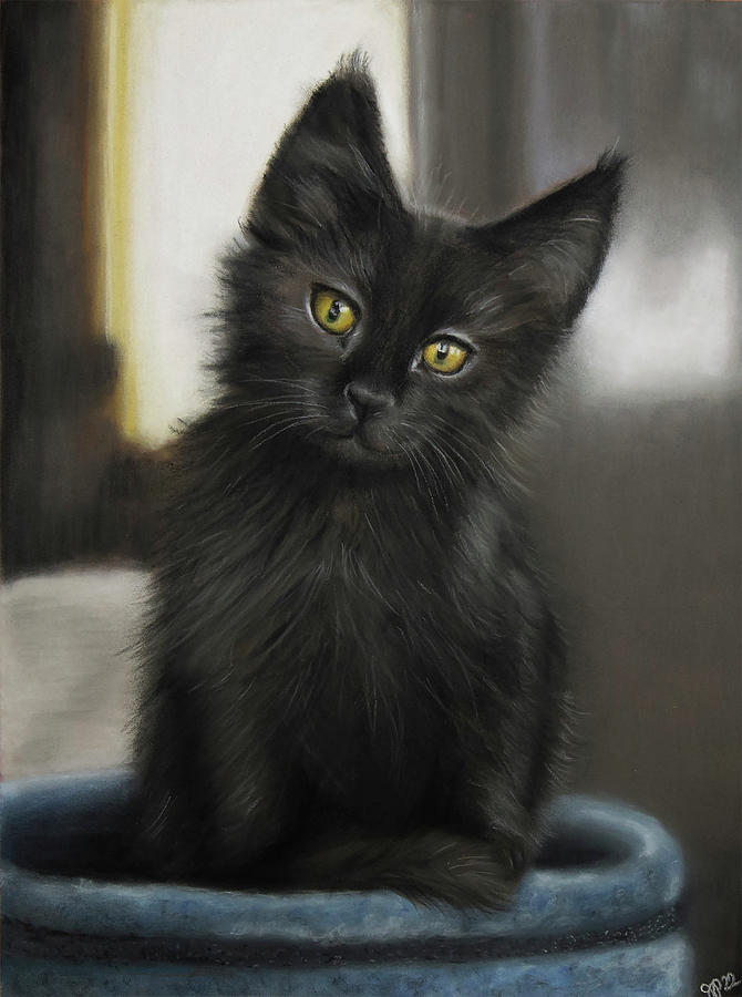 Black Kitten Drawing by Jennifer Pansegrau - Fine Art America