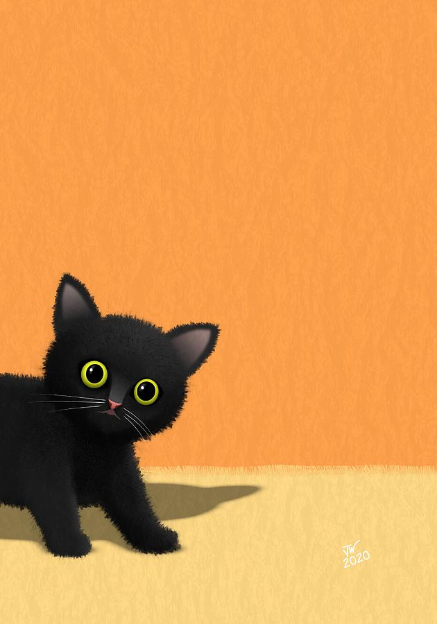 Animal Digital Art - Black kitten by John Wills