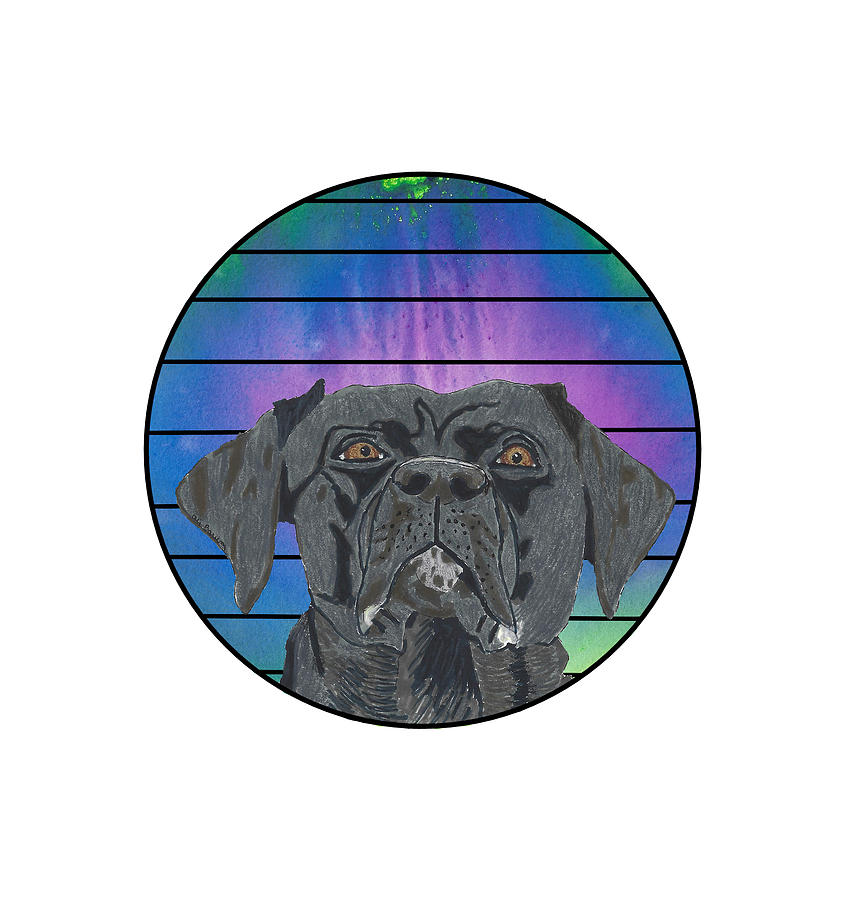 Black Lab in Abstract Colored Circle with Lines Drawing by Ali Baucom