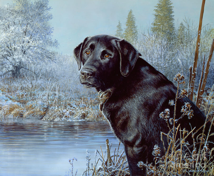 Wisconsin Artists Painting - Black Lab by Scott Zoellick