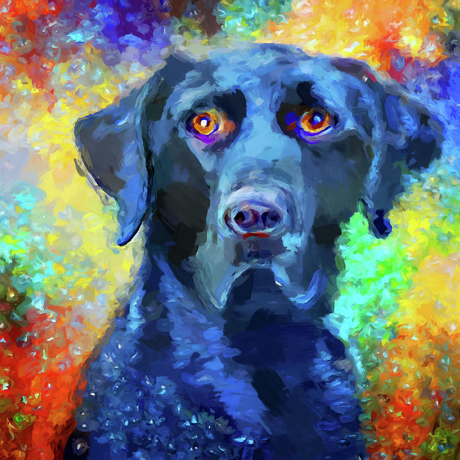 Black Labrador Painting