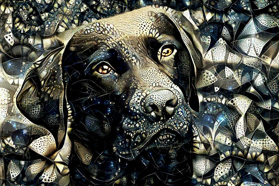 Labrador Retriever Digital Art - Black Labrador Retriever Dog Art by Peggy Collins